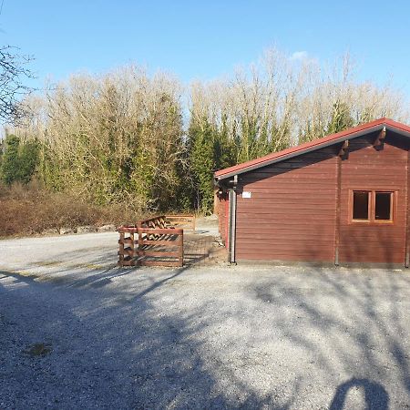 Red Squirrel Lodge Galway Exterior photo