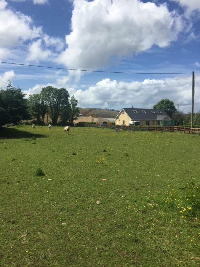 Red Squirrel Lodge Galway Exterior photo